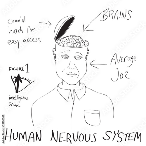 Funny Human Brain Cartoon