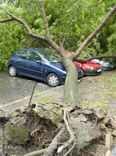 Damaged cars