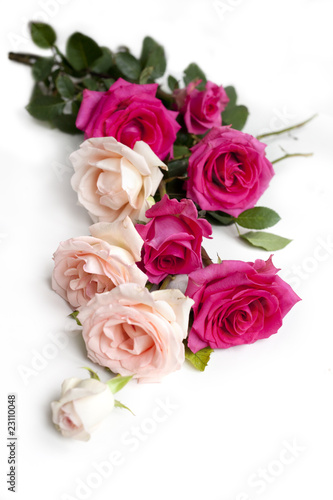bouquet of roses © Miroslava Arnaudova