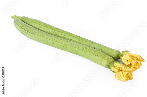 Bild auf Leinwand loofah
