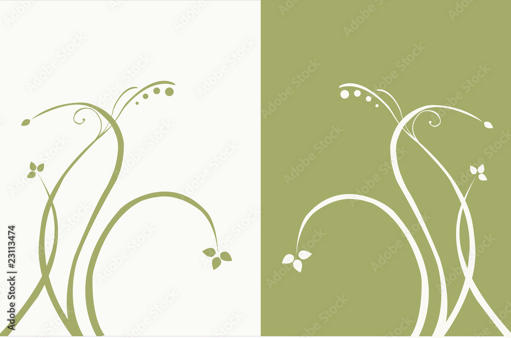White flowers on a green background. White flowers on a green background.