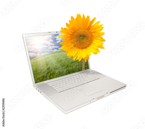 Fototapeta Naklejka Na Ścianę i Meble -  Silver Computer Laptop Isolated with Sunflower