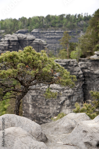 Czech-saxon switzerland