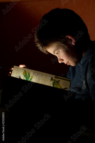 Young boy reading book