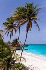 Fototapete Karibik Tropical caribbean beach / Bottom Bay / Barbados  © Digishooter