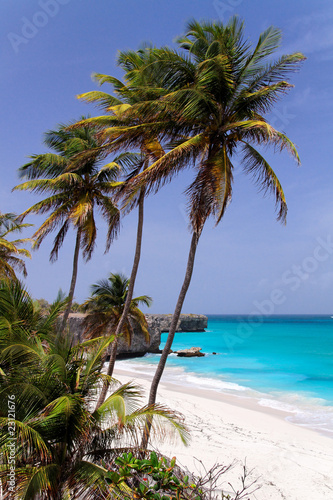 Tropical caribbean beach   Bottom Bay   Barbados