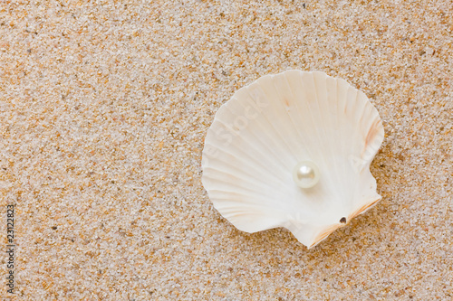 Pearl in sea shell
