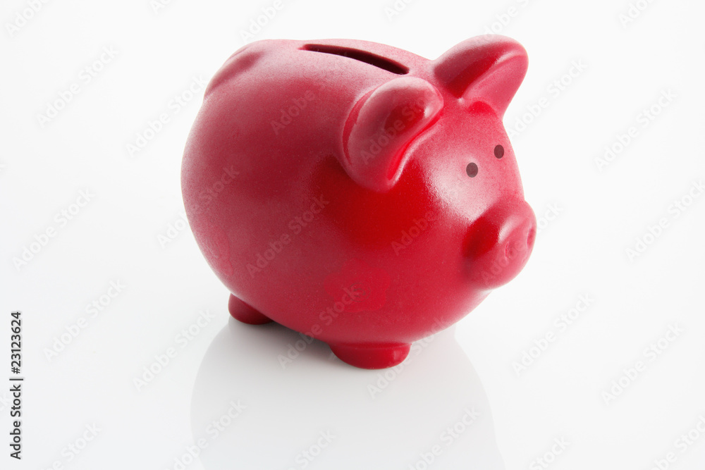 Piggy Bank Piggy Bank