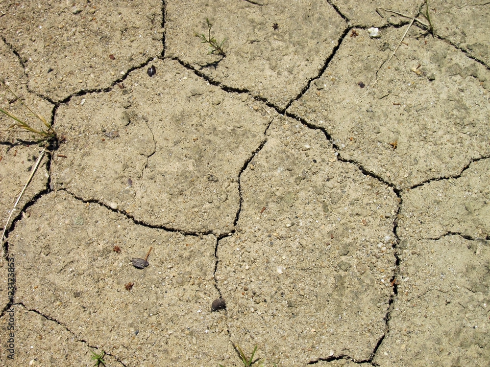Fototapeta premium 20100531_干ばつ