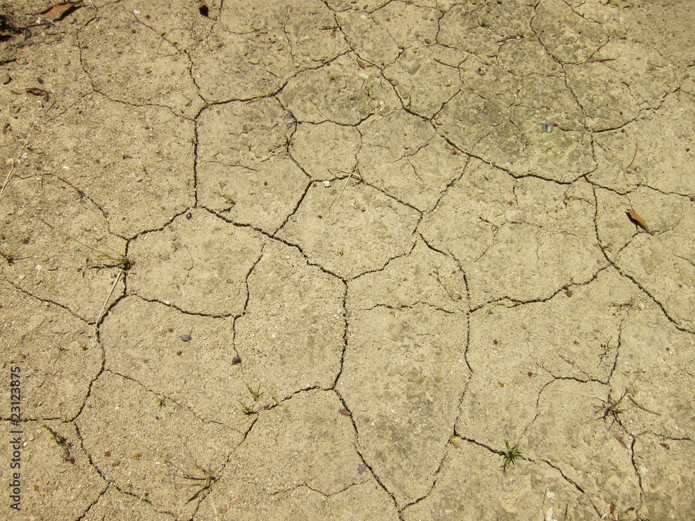 Fototapeta premium 20100531_干ばつ