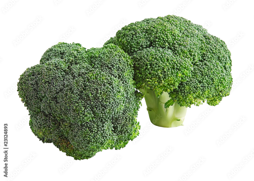 Broccoli Cabbage isolated on white . Broccoli Cabbage isolated on white .