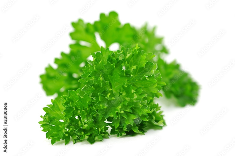 Petersilie Petersilie