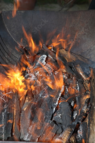 feu de bois