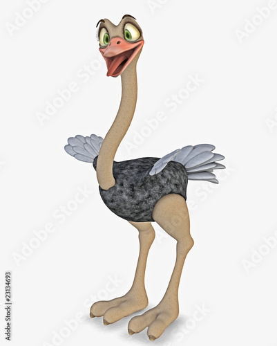 Obraz na plátně vogel strauss