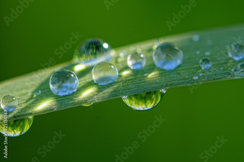 goutte d'eau