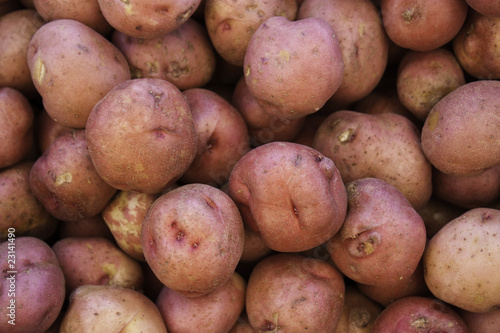 Red Potatoes