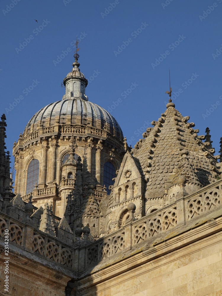Cimborrio de la Catedral Nueva de Salamanca