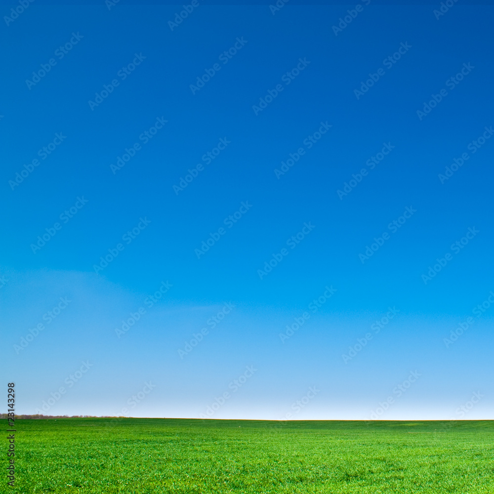 Fototapeta premium landscape