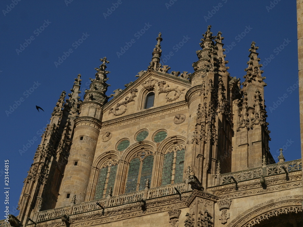 Detalle del pórtico de la Catedral Nueva de Salamanca