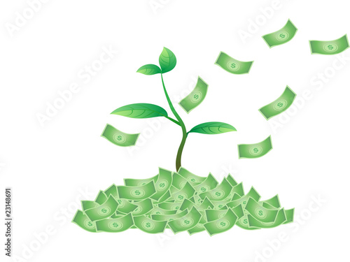 plant growing from the money