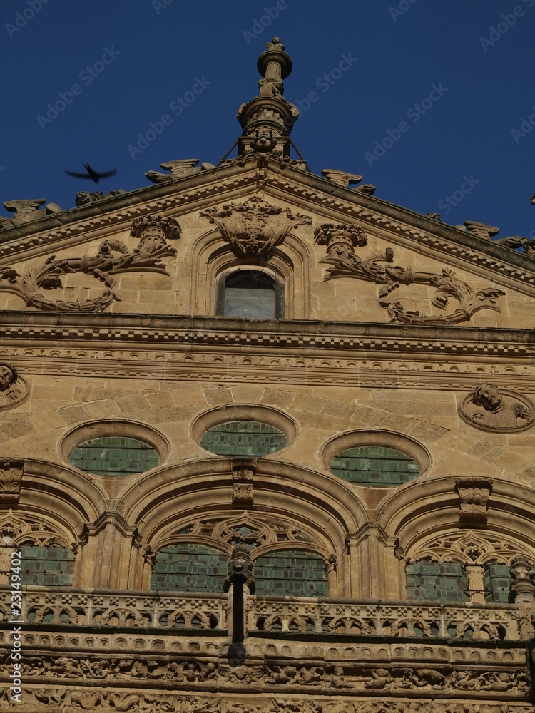 Detalle del pórtico de la Catedral Nueva de Salamanca