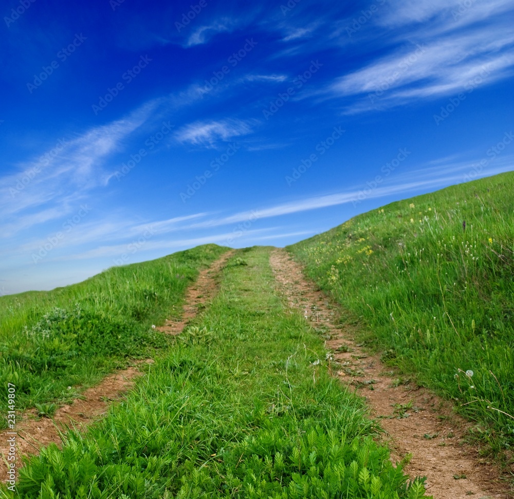 Obraz premium green hill and a road