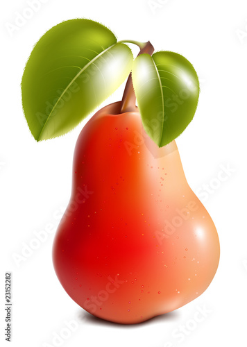 Photo-realistic vector. Ripe pear with green leaves..