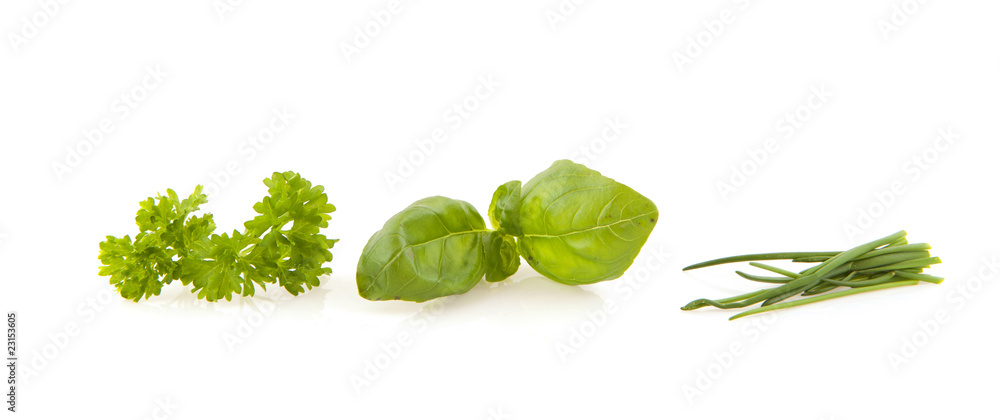 Obraz premium Herbs
