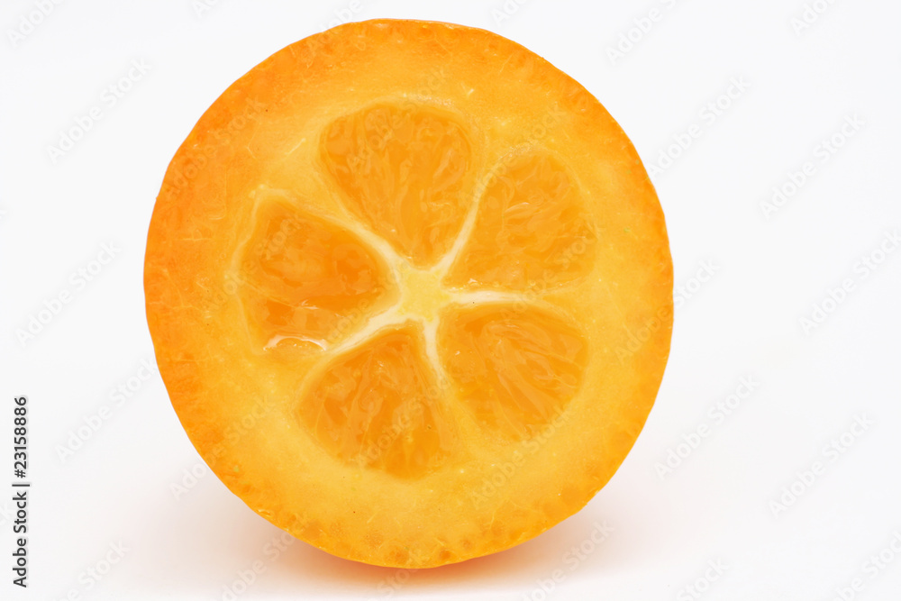 kumquat kumquat