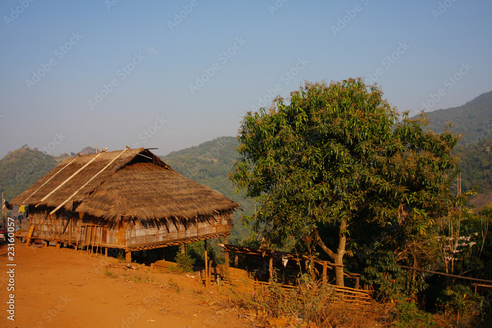 bamboo house