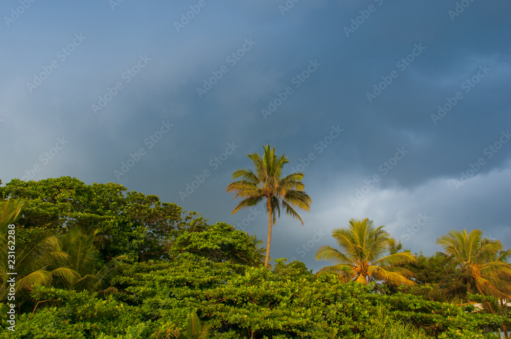 sri lanka