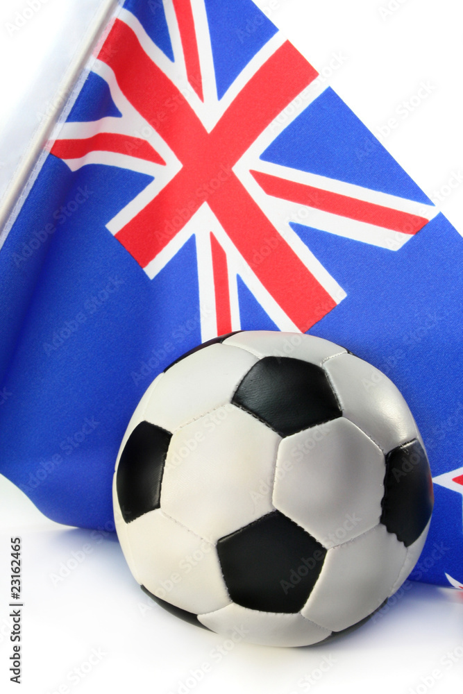 Fototapeta premium Fußball-WM 2010