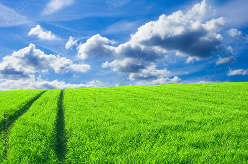 Green field and blue sky conceptual image.