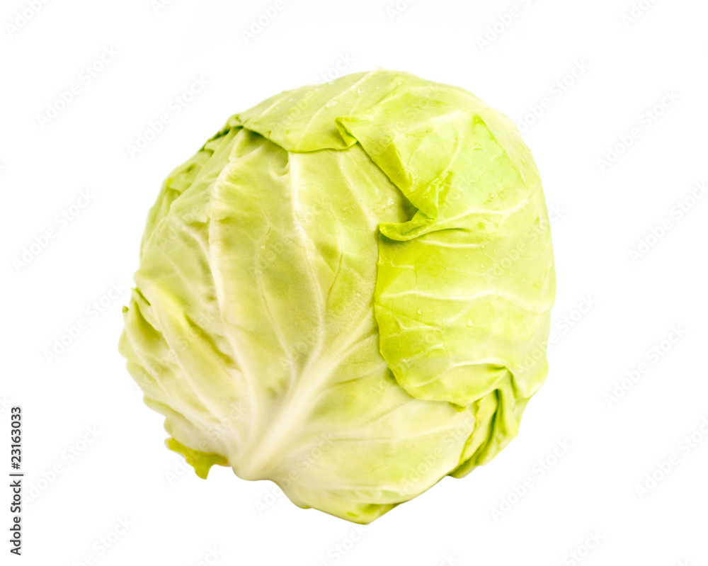 Cabbage Cabbage