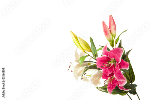 Fototapeta Naklejka Na Ścianę i Meble -  Pink Lilien