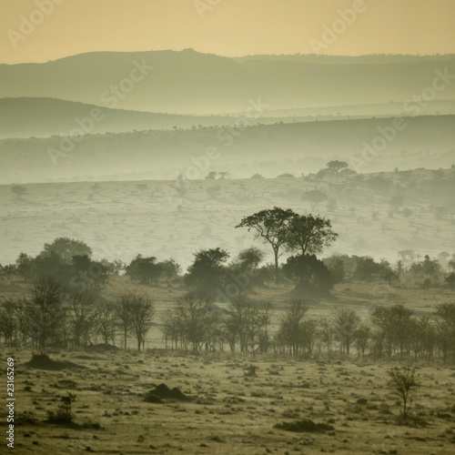 Africa landscape Serengeti National Park, Serengeti, Tanzania