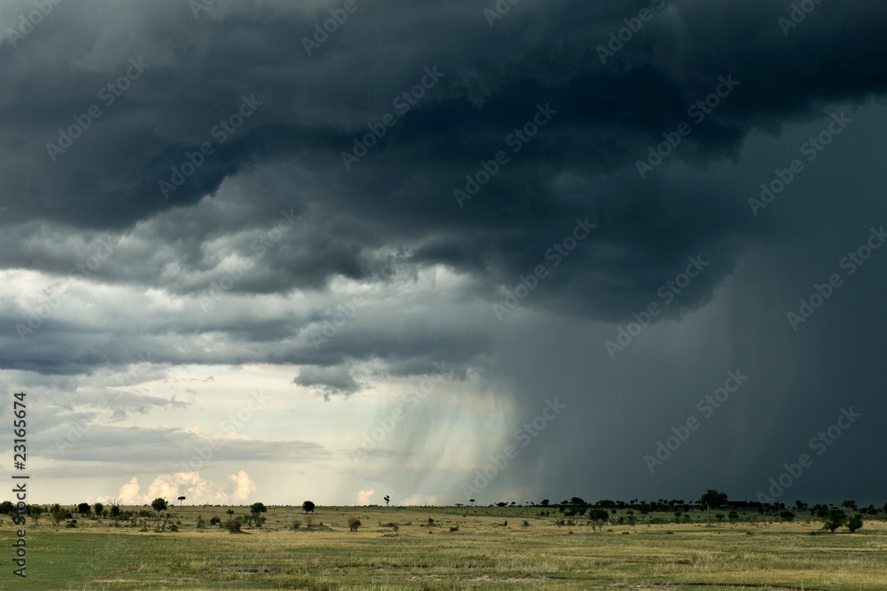 Rain cloud over Africa landscape, Serengeti National Park Rain cloud over Africa landscape, Serengeti National Park