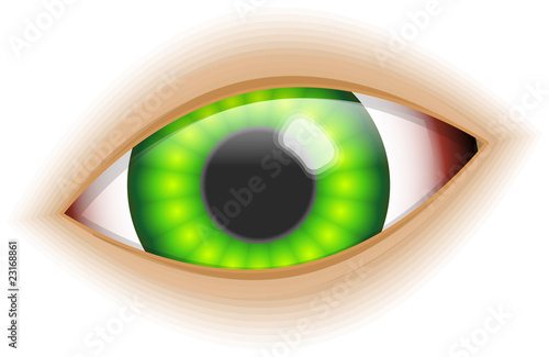 Glossy Vector Eye