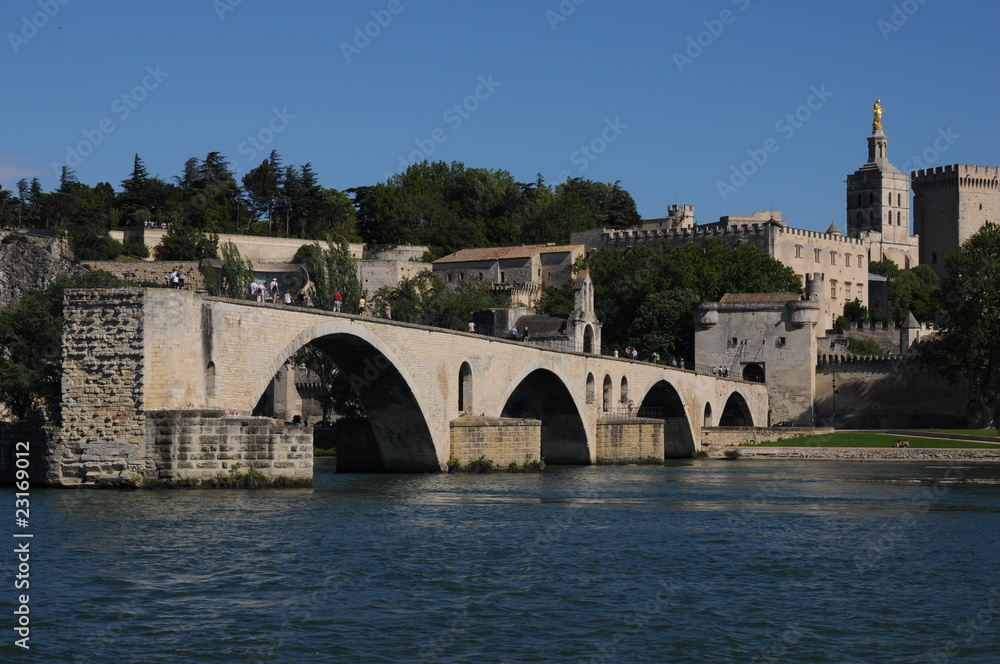 pont d'avignon et palais des papes vus de la barthelasse