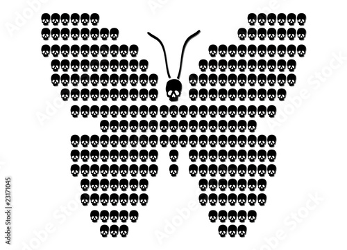 butterfly of scull