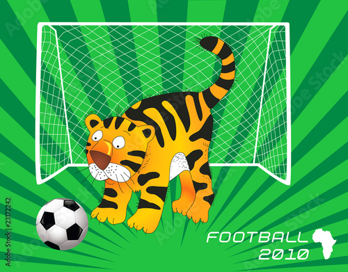 Tiger and football photo