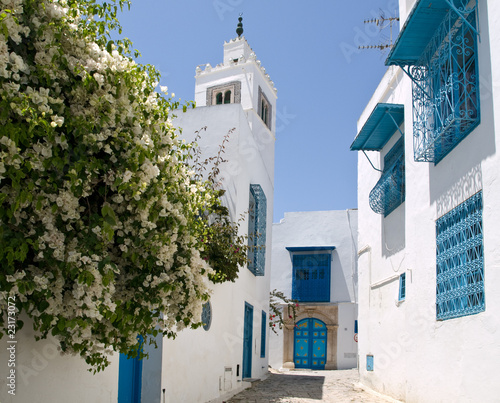 Jasminstrauch mit Kirche in Sidi Bou Said