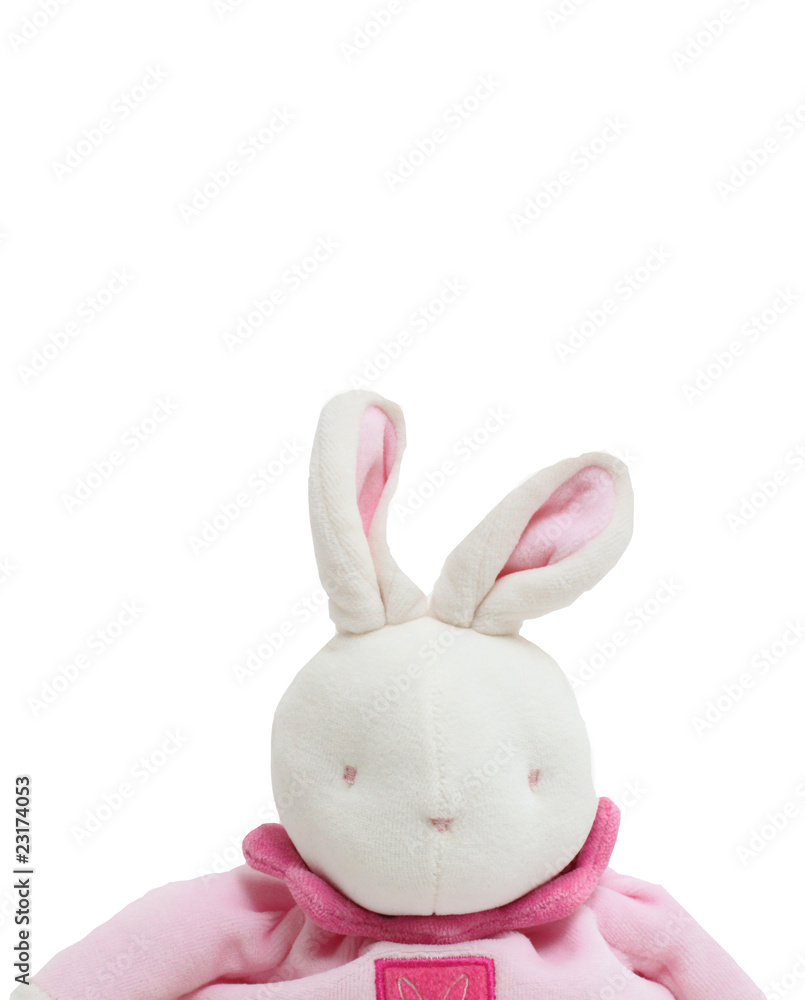 Fototapeta premium Petit lapin rose