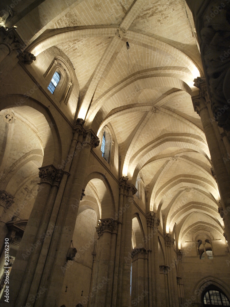 Boveda de la Catedral Vieja de Salamanca