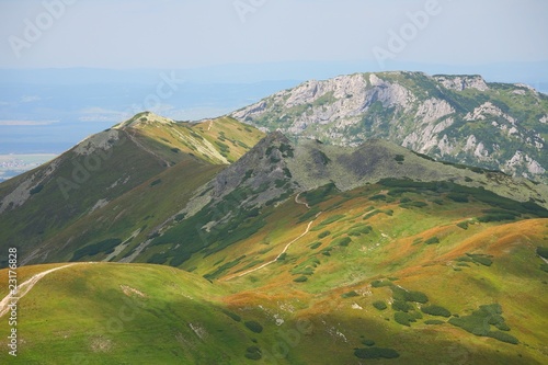 Alpine meadows, Tatra mountains