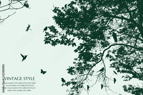 tree