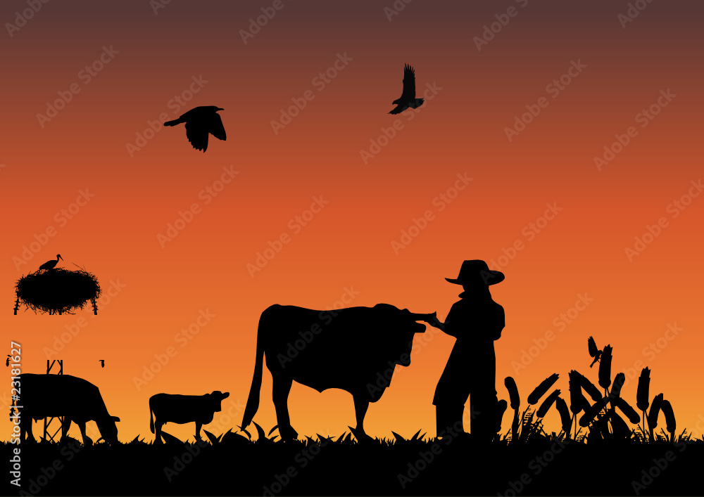 Cowboy in field