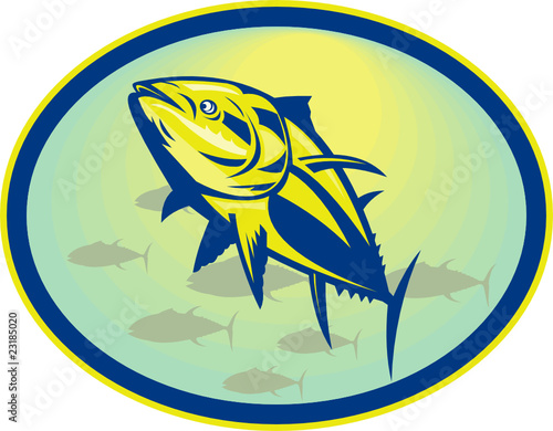 Bluefin tuna viewed from a low angle