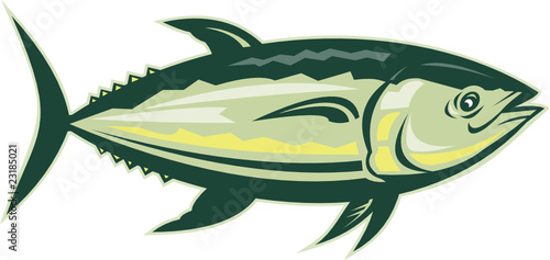 Bluefin tuna viewed from a low angle