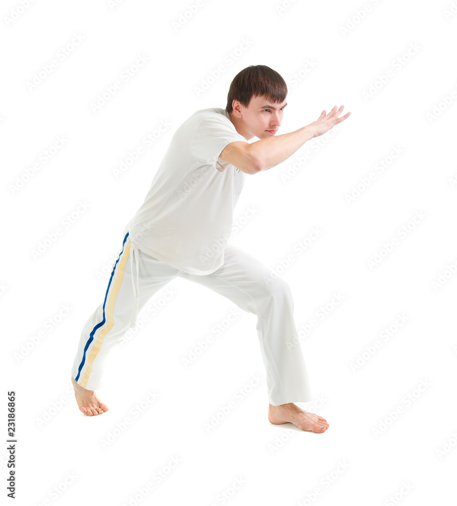 capoeira dancer posing capoeira dancer posing